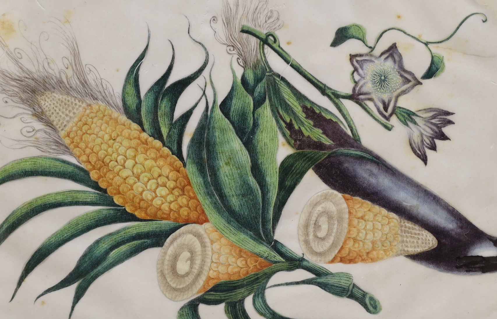 19th century Chinese school, three pith paper paintings, Junks and still life of vegetables, 16 x 23.5cm